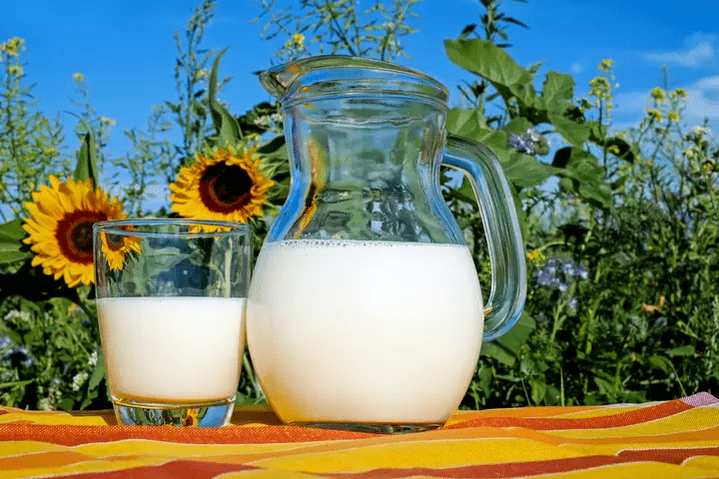 milk is the main component of the Dukan diet